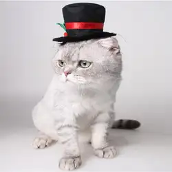 2018 Хэллоуин костюм животного щенок кошек Hat вечерние Наряжаться Кепки Детский костюм для вечеринок Головные уборы Кепки s шляпа для собак