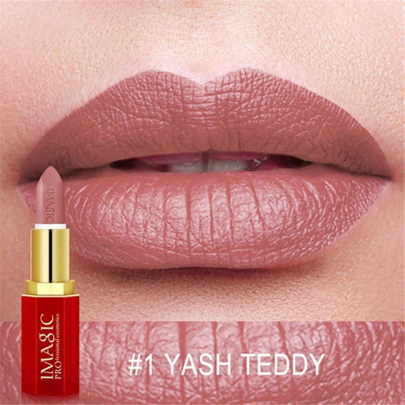 

12 Color Matte Lipstick Waterproof Pigment Matte Lipstick Lip stick Makeup Cosmetics Matt Stick Long Lasting Lips Make Up