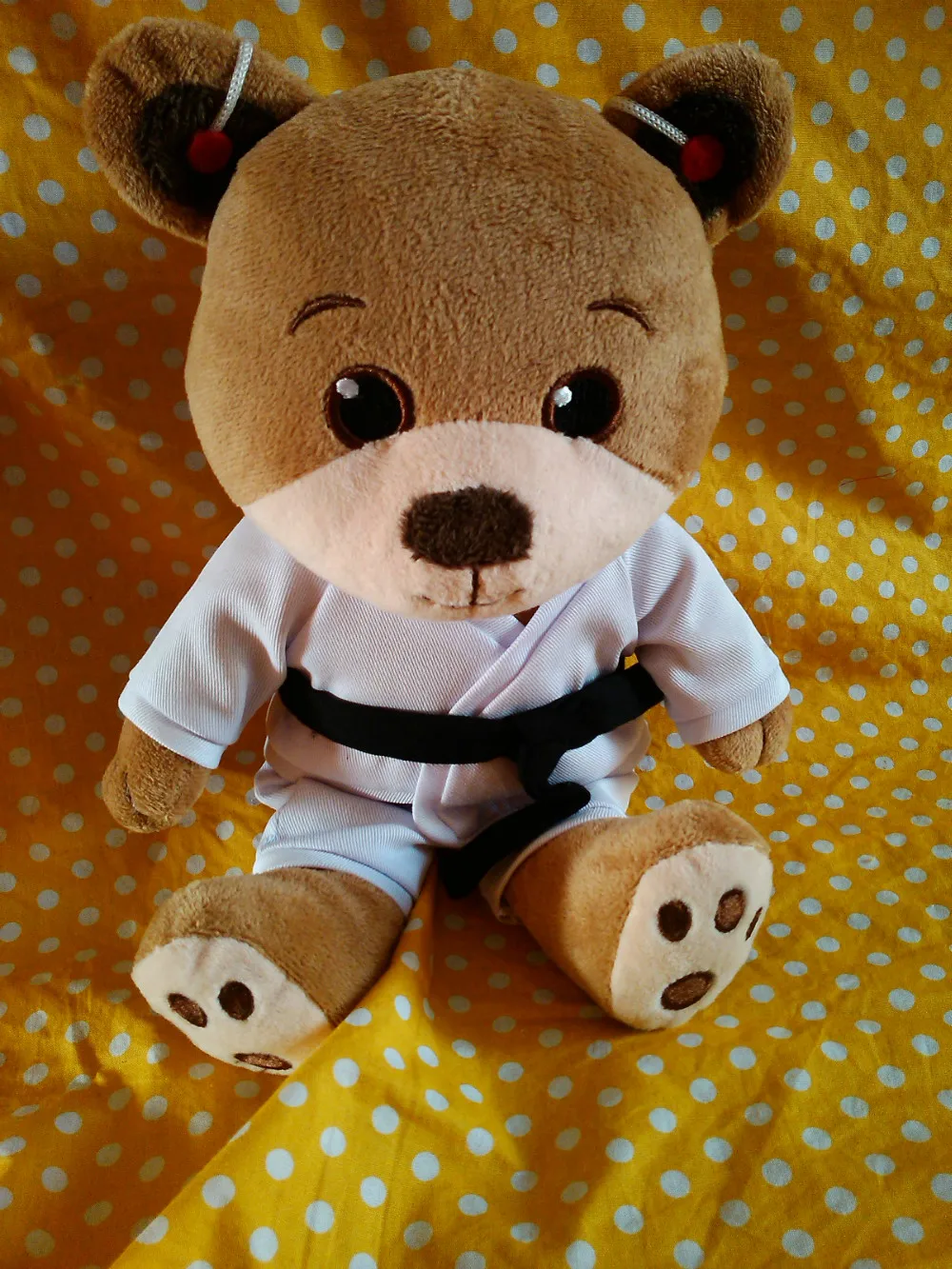 karate teddy