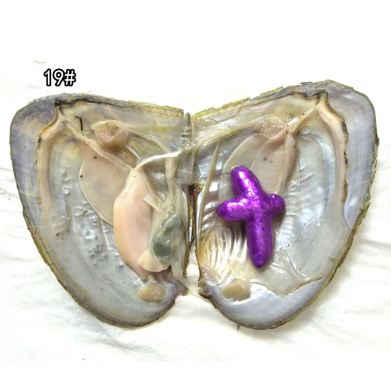 Lilac 20 шт AA+ одиночный 15-40 мм Фиолетовый Натуральный барокко формы крест жемчуг с вакуумной упаковкой Oyster свежий жемчуг в Oyster - Окраска металла: Lilac