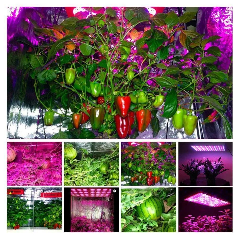2000 Вт 3000 Вт Светодиодная лампа для выращивания растений, полный спектр, светильник для выращивания овощей и цветов, палатка для выращивания растений, для внутреннего сада, Гидропоника