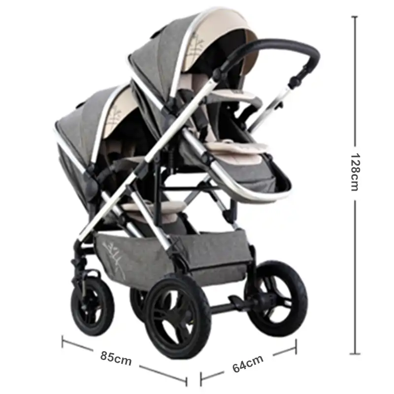 strollers for 2 kids