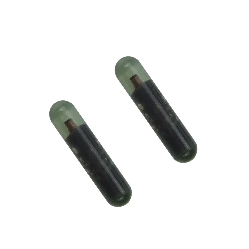 SV06 (11)