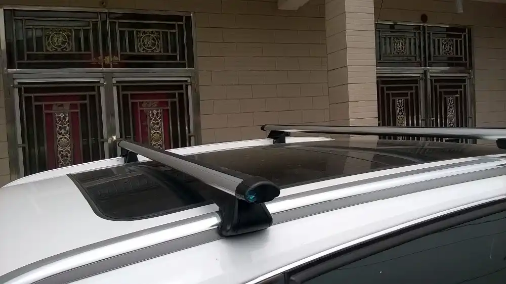 x cargo luggage carrier