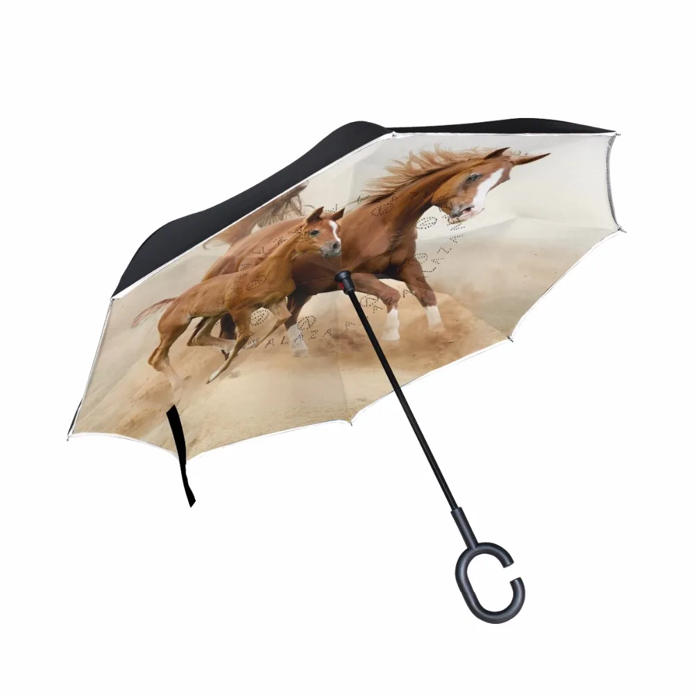 g4078831p183c217s313_0