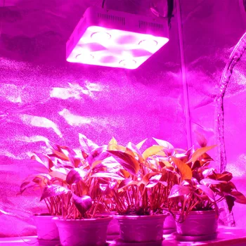 

CF Grow 600W COB LED Grow Light Full Spectrum Indoor Hydroponic Greenhouse Plant Growth Lighting Replace UFO Growing Lamp