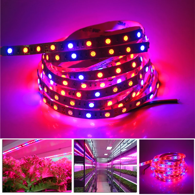 5M-60LEDS-M-12V-Plant-Grow-LED-Strip-light-5050-SMD-3-1-4-1-5 (3)