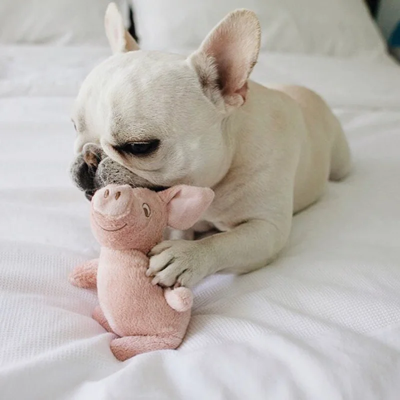 

Pet Dog Cat Accompany Sleeping Small Toys Cute Pig Warm Soft Plush Puppy Dogs Chewing /Interactive Toy Pig Pillow Pet Supplies