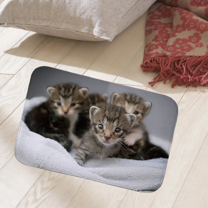 40x60cm floor mat hallway doormat suede Welcome entrance door mat anti-slip water Water absorption carpet Koala horse cow print