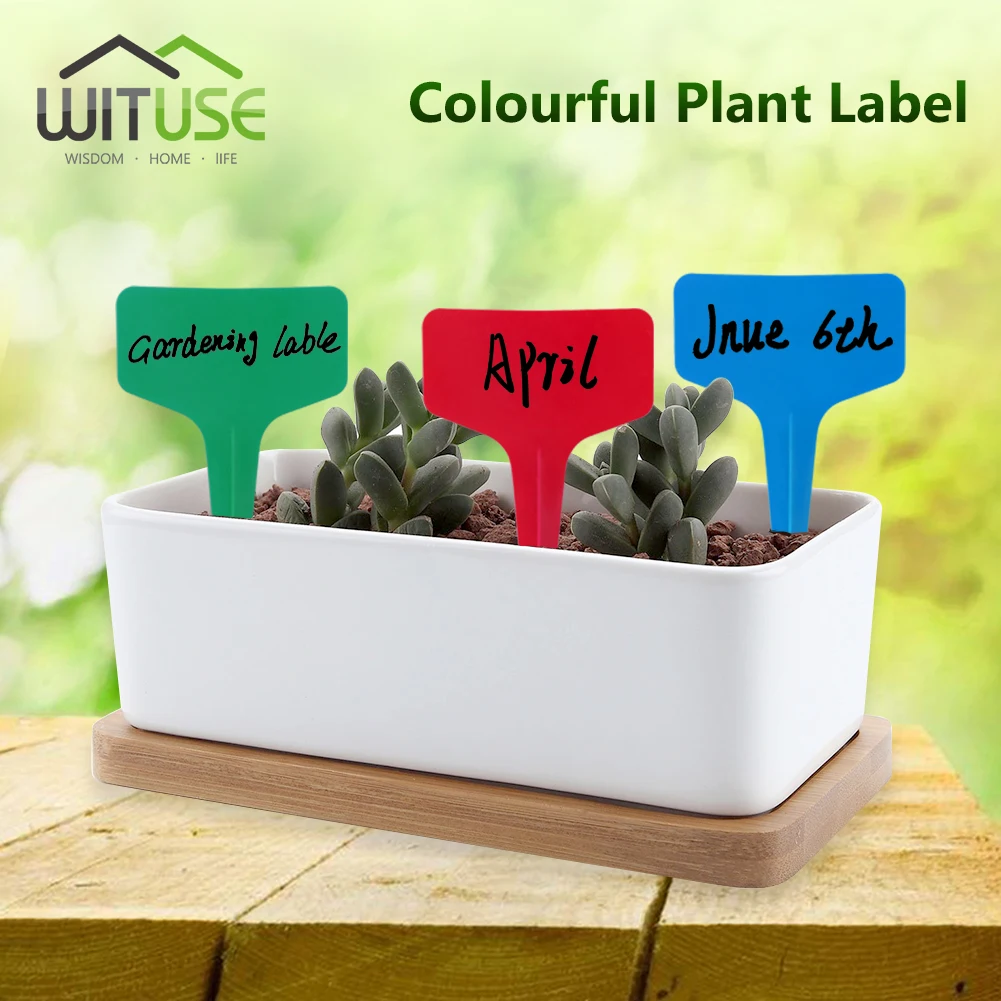 

50pcs 10x2cm/6x10cm I/T Shape Plastic Plant Tags Markers Nursery Garden Decoration Tags for Plants Garden Decor Gardening Labels