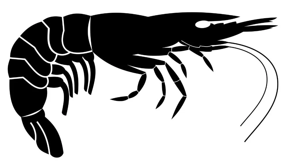 Download Aliexpress.com : Buy Seafood Vinyl Wall Decal Lobster ...