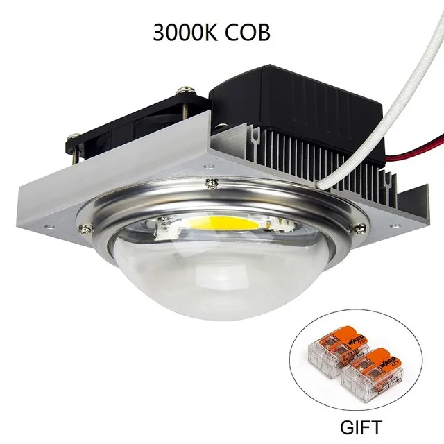 CREE CXB3590 100 Вт 200 Вт COB светодиодный светильник для выращивания DIY модуль полный спектр светодиодный светильник для выращивания комнатных растений Идеальный держатель MEANWELL Driver 185H - Испускаемый цвет: 100W-3000K