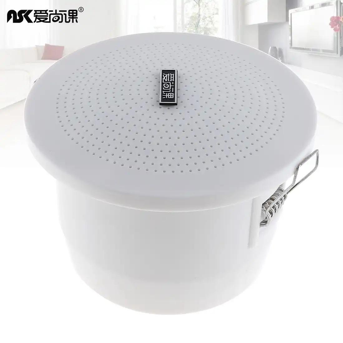 3 Pulgadas 3w Moda Impermeable Radio Techo Altavoz Publico