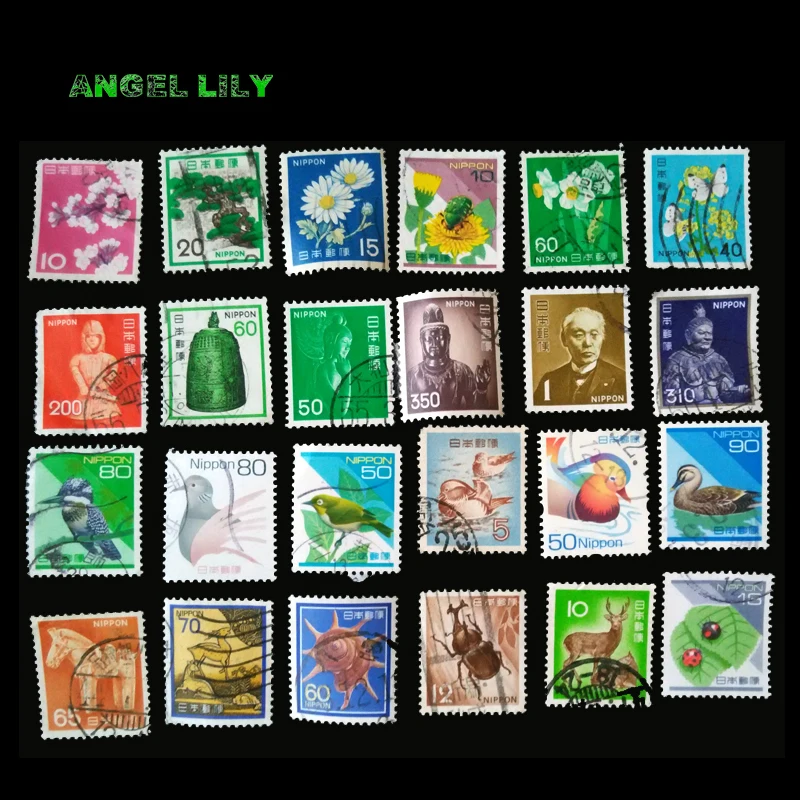 44