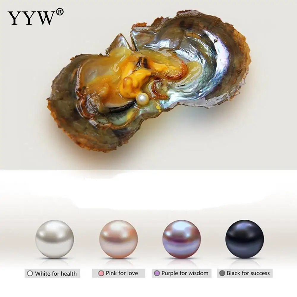 

10PC/Lot 7.5-8mm Mixed Colors Vacuum pack Oyster Pearl Girl Gift individually wrap One Mussel Shell Mother Oyster with One Pearl