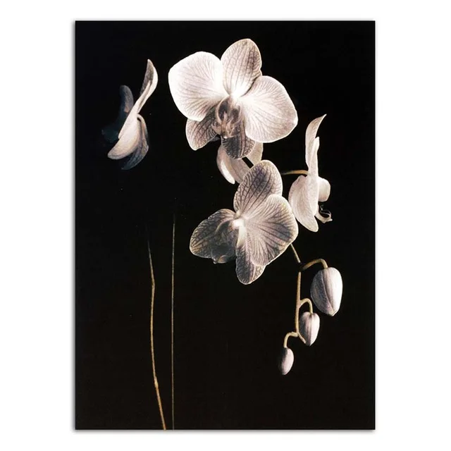 Home-Decoration-Wall-Art-Poster-Nordic-Print-Canvas-Paintings-Picture-Black-background-white-and-gold-flowers.jpg_640x640 (5)