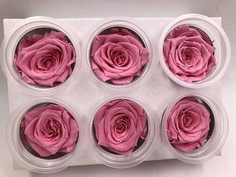 Уровень B сохраненные свежими розовыми цветами бессмертная роза 5-6 см диаметр День матери DIY Свадьба вечная жизнь цветок материал подарок - Цвет: Sweat Pink