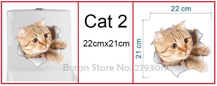 cat 2 -1
