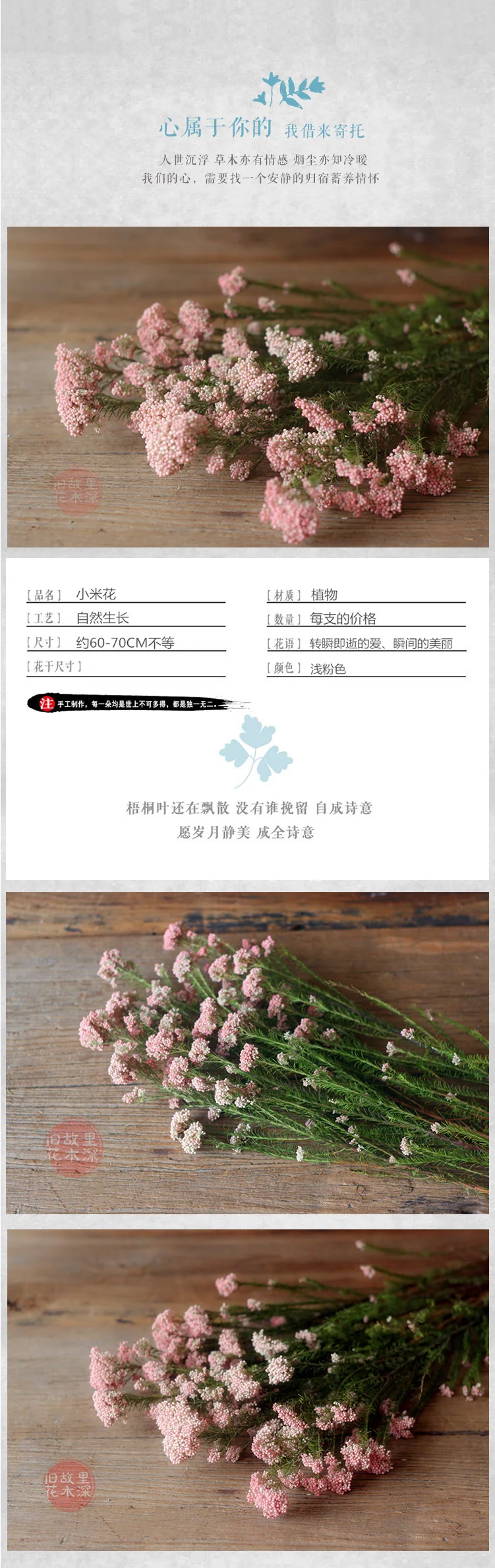 Millet Imported Dried Flowers Light Pink Flowers Flower Material Shooting Props Guest Rooms Bedroom Balcony Cafes Bars Cl Light Pink Flower Pink Flowerflowers Import Aliexpress Millet Imported Dried Flowers Light Pink Flowers Flower Material Shooting Props Guest Rooms Bedroom Balcony Cafes Bars Cl Light Pink Flower Pink Flowerflowers Import Aliexpress