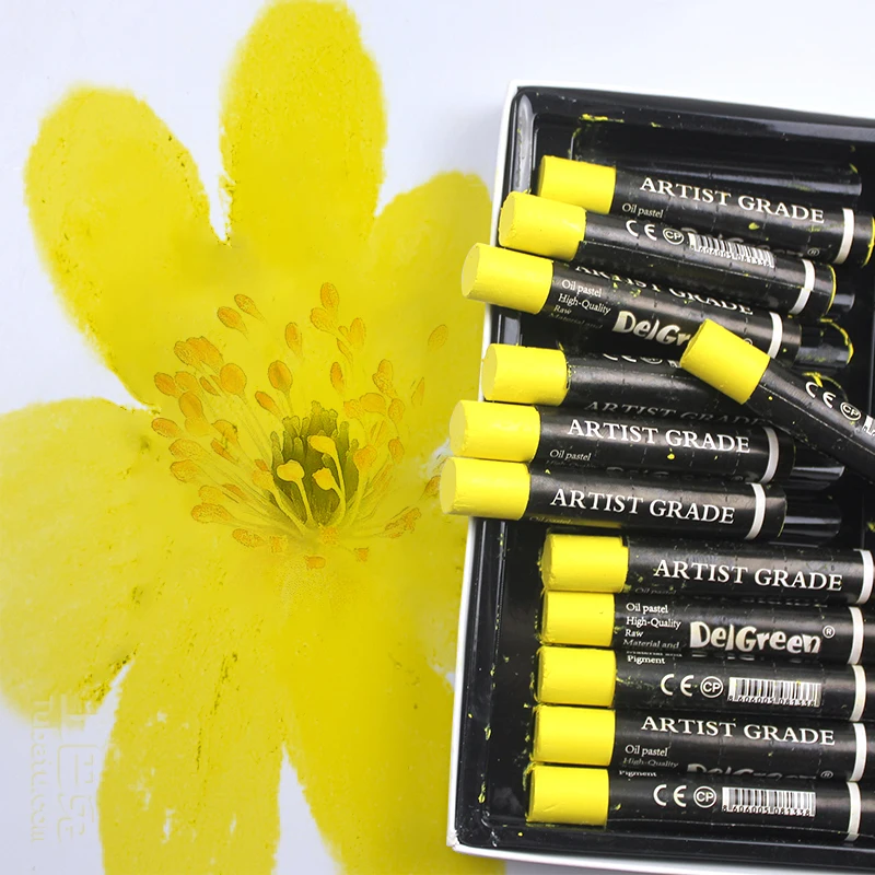Oil Pastels 24Pcs/Set 7 Colors Round Shape