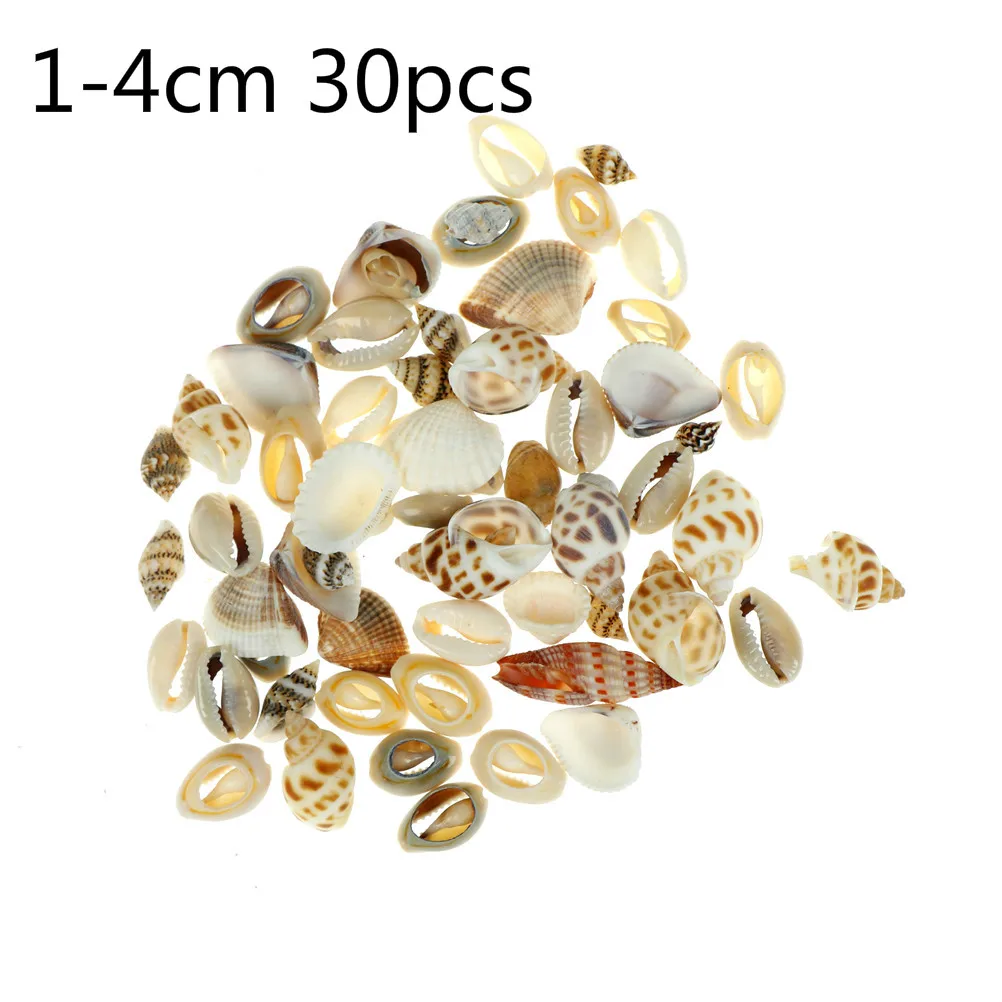 

1-4cm 30pcs/lot Natural Conch Shells Mini Conch Corn Screw Wall Decoration DIY Aquarium Landscape Seashells