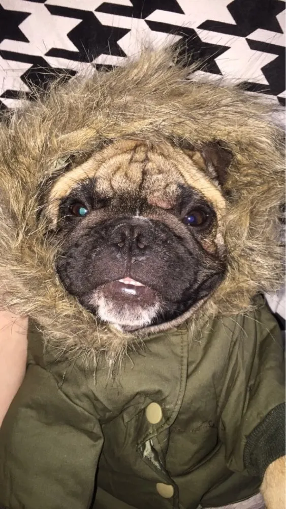 UT8fd_JXt0aXXagOFbXo