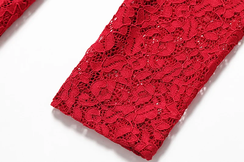 ShejoinSheenjoy Autumn Stand Hollow Lace Long Sleeve Dress Women Winter Red Buttons A-Line Party Dresses Black Women Long Dress (24)
