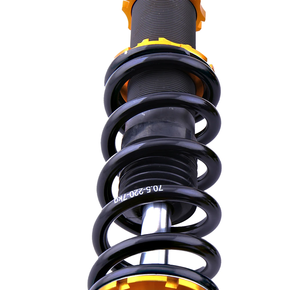 co-ev08-g(3)