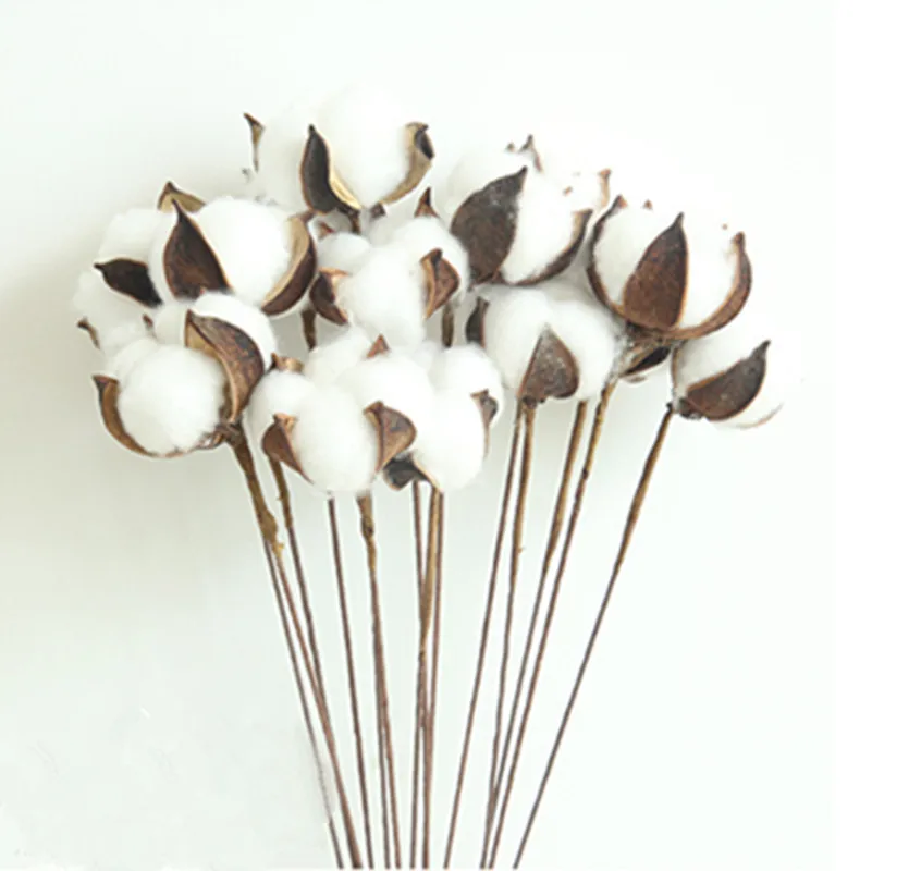 

5PCS New Natural Dry Flower Cotton Branches Artificial Cotton Branches Living Room Home Wedding Decoration White