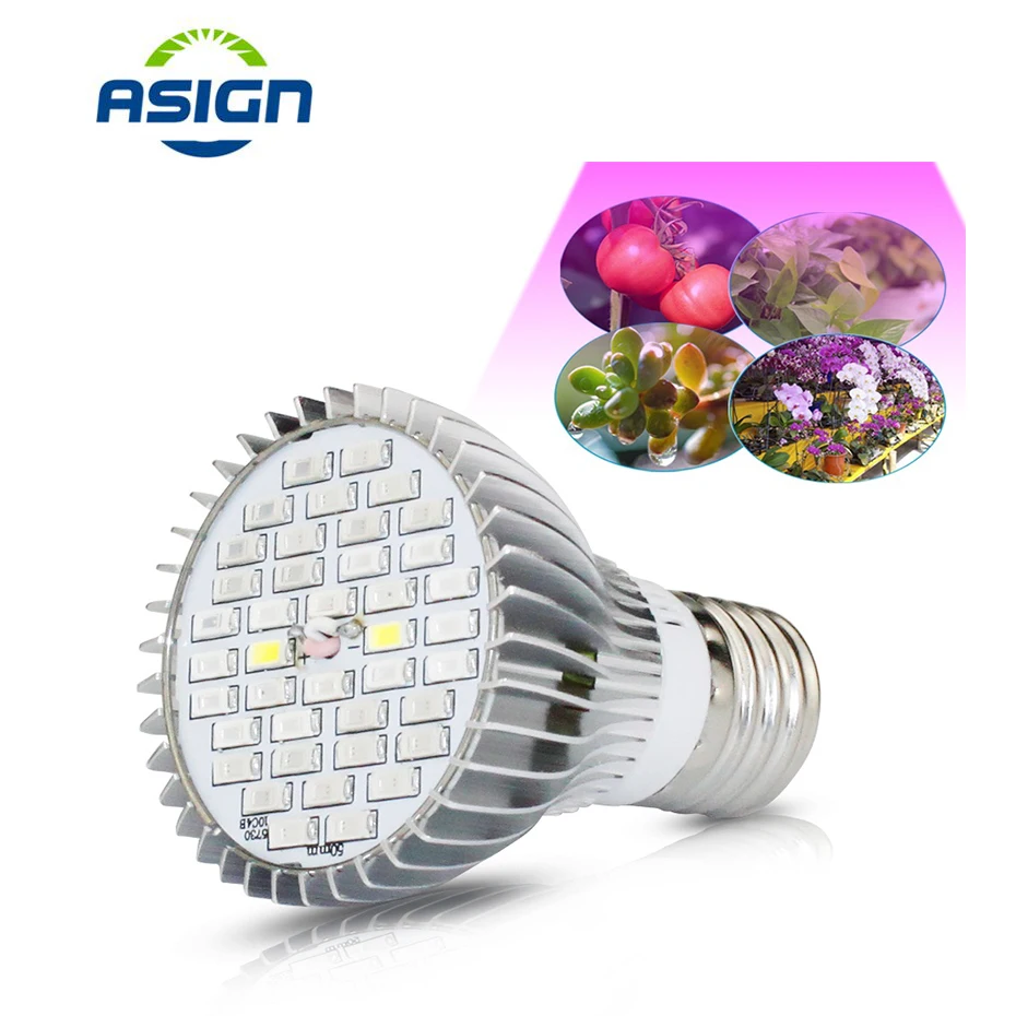 

Full Spectrum LED Grow Light E27 10W 30W 50W 80W Growing Lamp SMD 5730 AC85-265V Red Blue Led Plant Grow Light Lamps For Flower