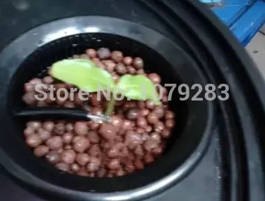10L Bucket Aeroponics pot with 2 net cup air pump hydroponics system indoor 10L Bucket Aeroponics pot with 2 net cup air pump hydroponics system indoor
