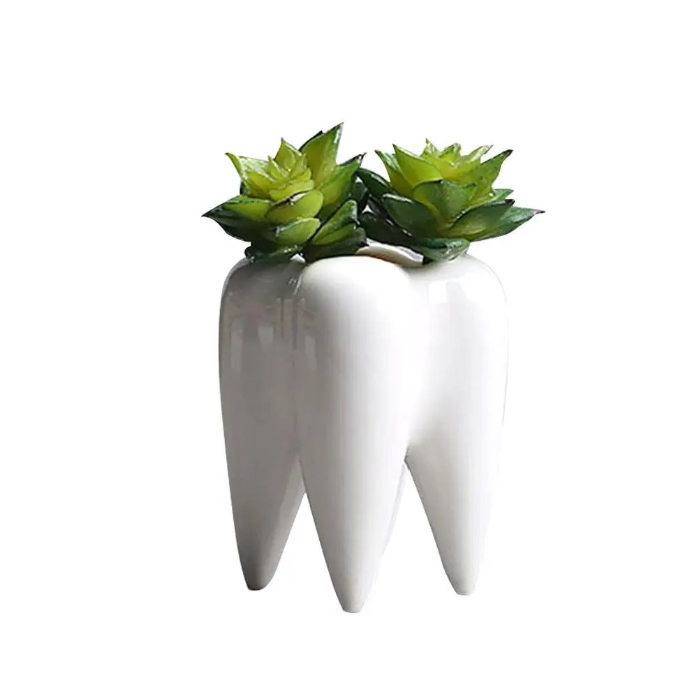 Настольный керамический горшок для суккулентов в форме зуба, современный дизайн, мини-горшок для растений, ваза для цветов, Декор
