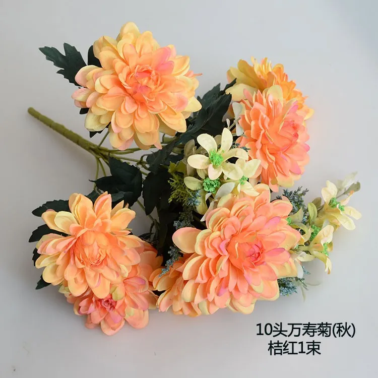 QQ20151028103034_conew3.jpg