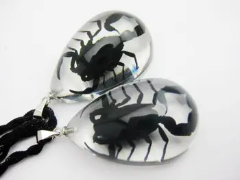 

free shipping 12 pcs yqtdmy New scorpion king lucid specimen pendants style creative ornaments gift