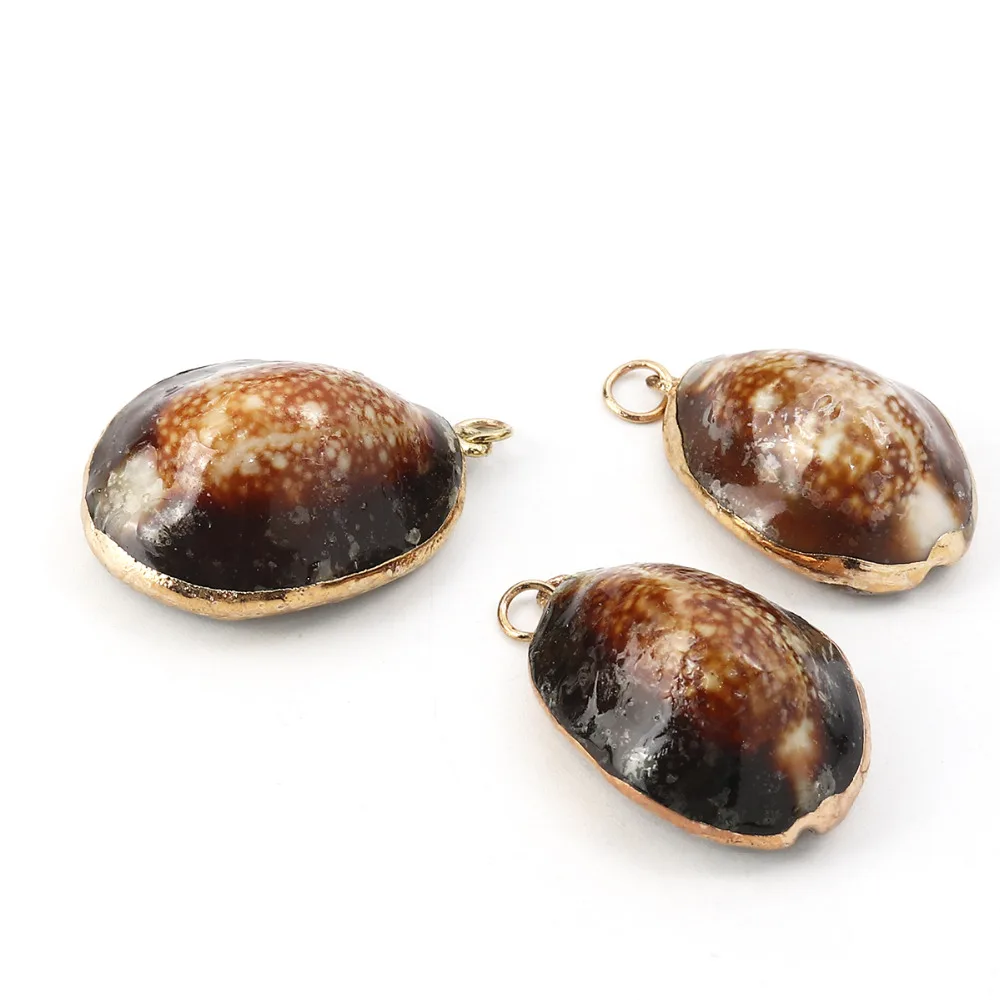 

Dreen Box Shell Pendants Cowrie Monetaria Caputserpentis Coffee 3.5cm x2.3cm(1 3/8" x 7/8") - 3.2cm x2cm(1 2/8" x 6/8"), 5 PCs