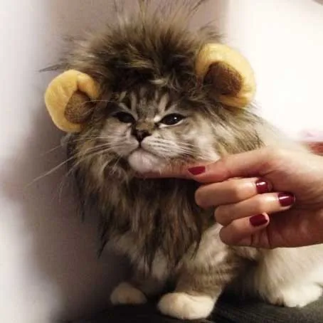 Собака кошка Лев парик Мане щенок котенок Косплэй Hairwear Шапки Хэллоуина Наряжаться с ушками