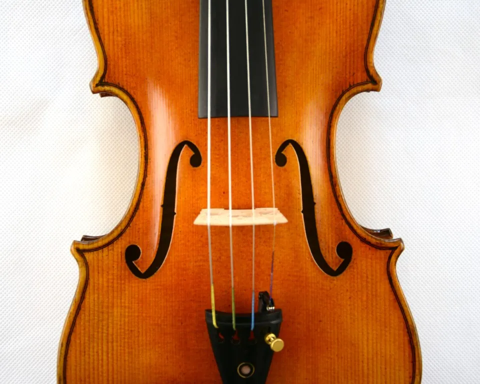 Горд скрипка Guarneri 1743 Cannone скрипка удивительный звуконечный инструмент