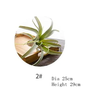 Bulbosa хлопок конфеты Детские Осьминог Искусственные Поддельные airplant тилландсия Capitata Steptophylla usneoid как настоящие растения суккулент - Цвет: No.2