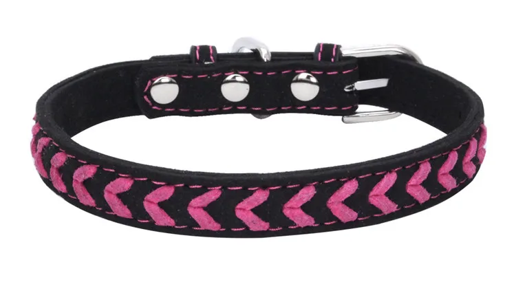dog collars (1)