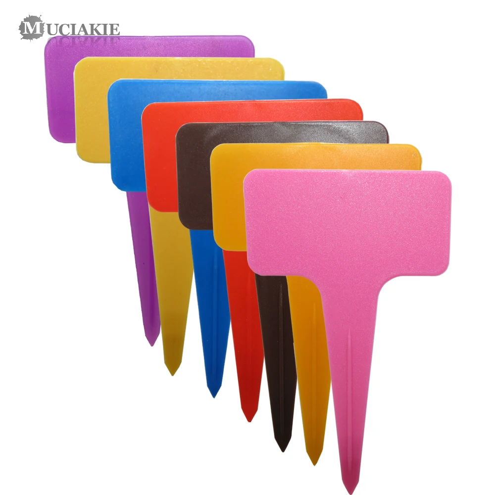 

30PCS 60x98MM T Typed Thickened Plant Markers for Succulent Bonsai Flowers Category Tags Label New PP Plastic Garden Nursery Tag