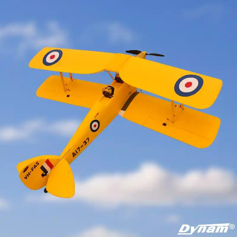 dynam tiger moth