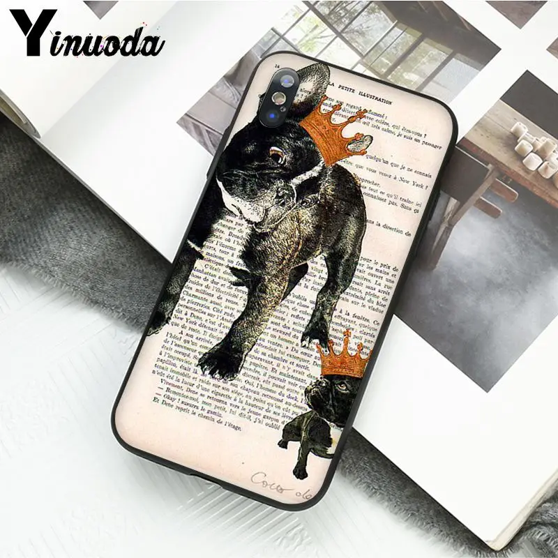 Book newspaper background Cute French Bulldog