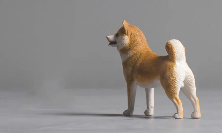 未标题-9
