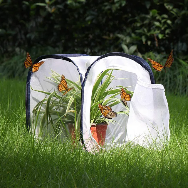 1PC Portable Foldable Insect And Butterfly Habitat Cage Housing
