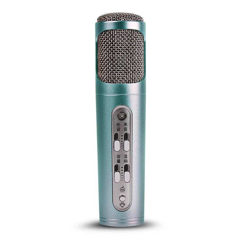 SikkiS Girl Mobile Computer Microphone Record Sing