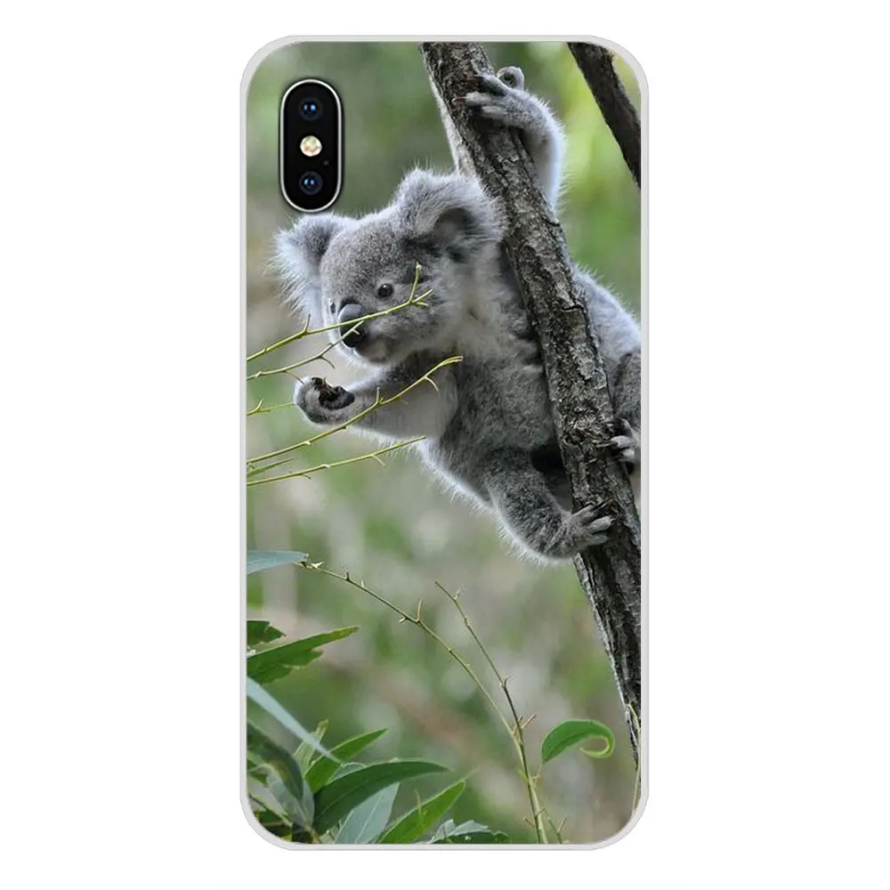 Для samsung Galaxy S3 S4 S5 мини S6 S7 край S8 S9 S10 Lite рlus Note 4 5 8 9 животное коала аксессуары для телефона чехлы - Цвет: images 6