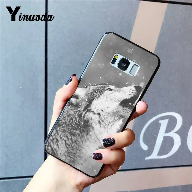 Russian version wolf tiger lion Leopard bear animal