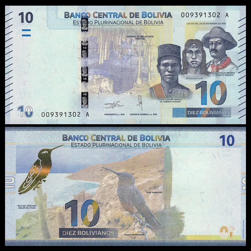 

Bolivia 10 Bolivianos, 2018, P-NEW, Puya Raimondi, America, UNC, Collection, Gift, Genuine, Real, Original Paper Notes