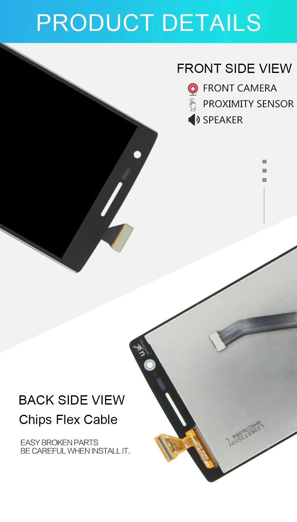 -PNEPLUS-1---xiangqing_06