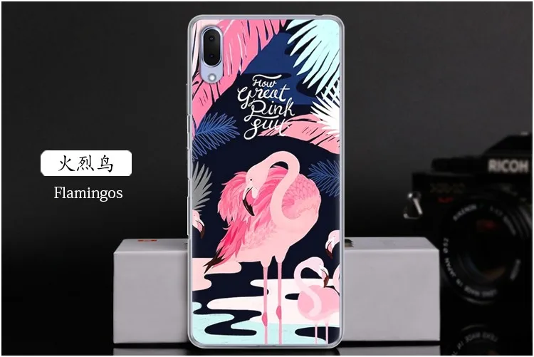  Flamingos
